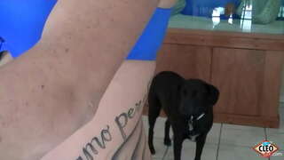 Татуированная babe İns Cleo sevir, yardım əlimizi uzatmalıyıq, zaman böyük bir üzvünə lazım olan stress azad, və hətta daha çox, əgər o, əldə edə bilərsiniz, isti cum öz tits! Belə ki, milo! Tam video və onun bütün Клио @ ItsCleoLive.com !